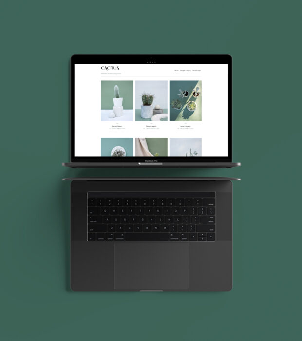 cactus-mockup